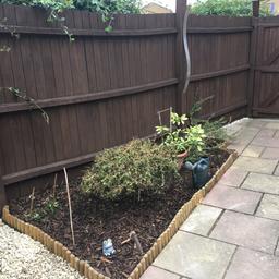 £15 per hour for small jobs 
Daily rates 

Local and trustworthy gardener in SE3 with over 12 years experience renovating gardens. For general maintenance or a complete makeover. 

Happy to work to a budget. Keeping costs down whilst making your garden look pristine and fabulous is key.

Services 
- Free visual quotation
- Hourly rates
- Patio cleaning
- Garden makeovers on a shoestring
- General garden maintenance
- Border creations
- Fence & Furniture care
- lawn & Maintenance
