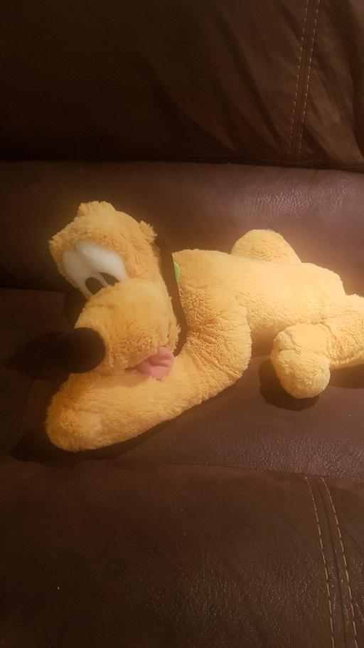 Buy & Sell County Durham Ferryhill - DL17 - Photos for Pluto plush