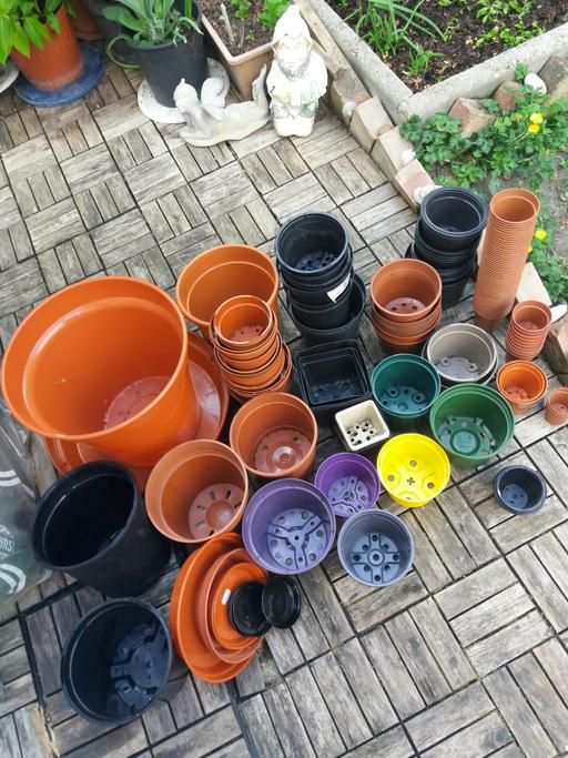 Buy & Sell East London Manor Park - East London - Photos for Flower Pots