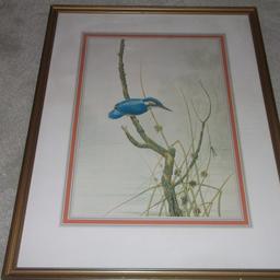 Gold coloured wood framed print of a Kingfisher under glass

frame measures 25 inches x 19 inches

inset Print 12 inches x 17 inches