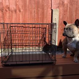 Dog cage, small to medium dog. No longer needed. Dog pictures is very large for breed. 
Want gone asap.