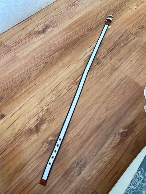 Buy & Sell West Midlands Sandwell - Photos for Dorothy Perkins belt size small
