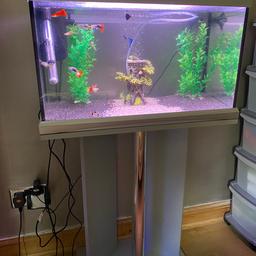 90 litres With stand 
Good condition 
With all accessories 
Guppies corydoras included