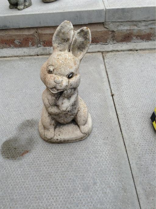 Buy & Sell West Midlands Coventry - Photos for Garden Rabbit