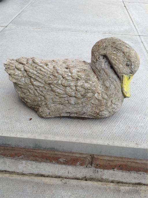 Buy & Sell West Midlands Coventry - Photos for Garden duck