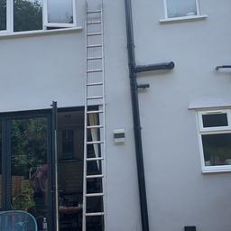 Ladder, collection Streatham Vale.