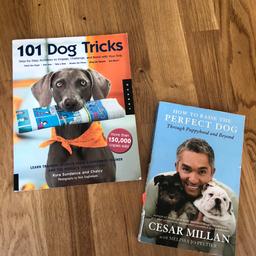 101 dog tricks
How to raise the perfect dog

Good condition
15 sek each or 20 sek for both