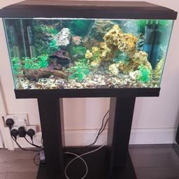 2 FOOT BY 1 FOOT BY 1 FOOT APPROXIMATELY  TANK ON STAND WITH LIGHT , INTERNAL FILTER , HEATER , AIR PUMP AND STONE , ROCKS , GRAVEL , ARTIFICIAL PLANTS , BOGWOOD ETC ALSO WATER TREATMENT  AS SEEN IN PICTURES ALSO COMES WITH SILVER SHARK  , 5 NEON TETRAS , 5 ZEBRA DANIOS
