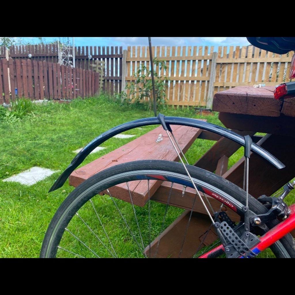 apollo paradox road bike