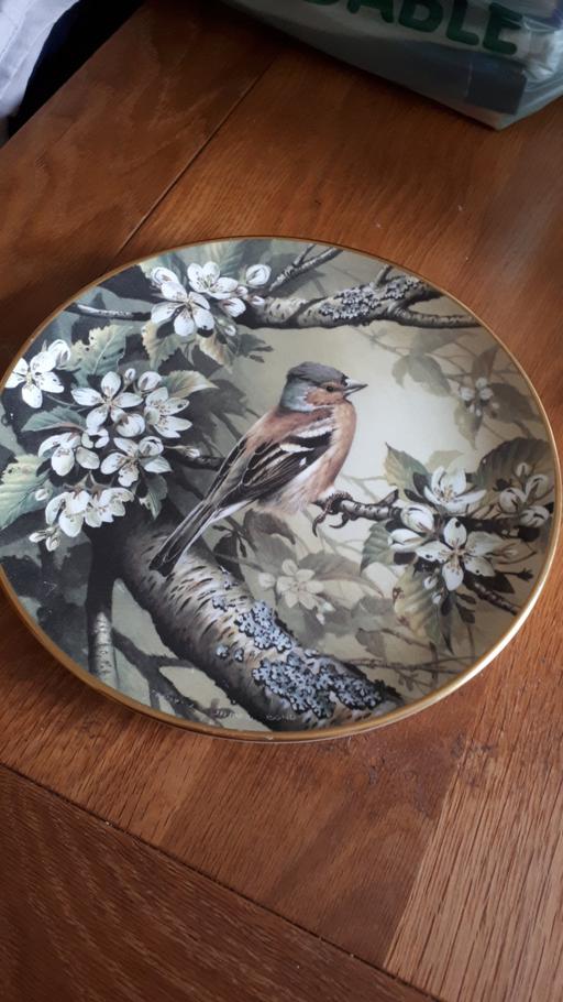 Buy & Sell Norfolk Great Yarmouth - Photos for wedgwood plate