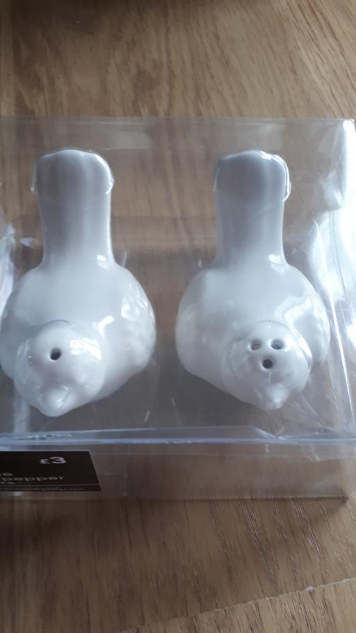 Buy & Sell Norfolk Great Yarmouth - Photos for salt and pepper set