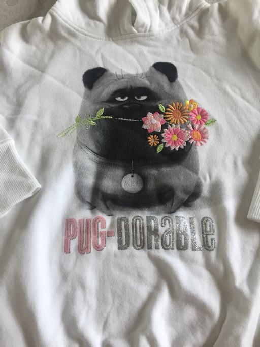 Buy & Sell West Midlands Sandwell - Photos for Girls Next pug hoody. Age 5
