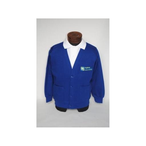 Buy & Sell Derbyshire South Derbyshire - Photos for ANGLESEY PRIMARY ACADEMY CARDIGANS 5-6 YEARS