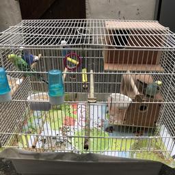 I am selling 4 colourful budgies, 2 male, the purple and blue and 2 females, the green and the grey ones
The cage is included with food
The cage has been also fitted with 2 nesting boxes