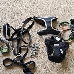 all used for training along with a clicker. not required now.