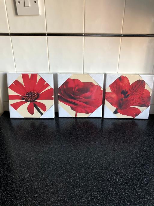 Buy & Sell Kent Thanet - Photos for 3 small red flower canvas