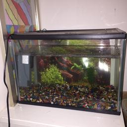 Fish tank with filter