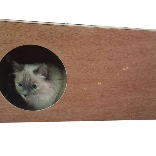 Buy & Sell Buckinghamshire Milton Keynes - Photos for House Hutch Tunnel Shelter Hideout for Cats