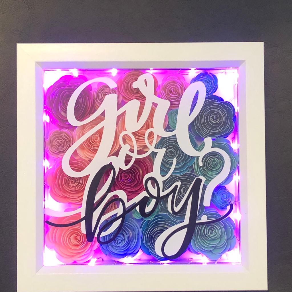 Gender reveal frame with lights in LU3 Park für 35,00 £ zum Verkauf ...
