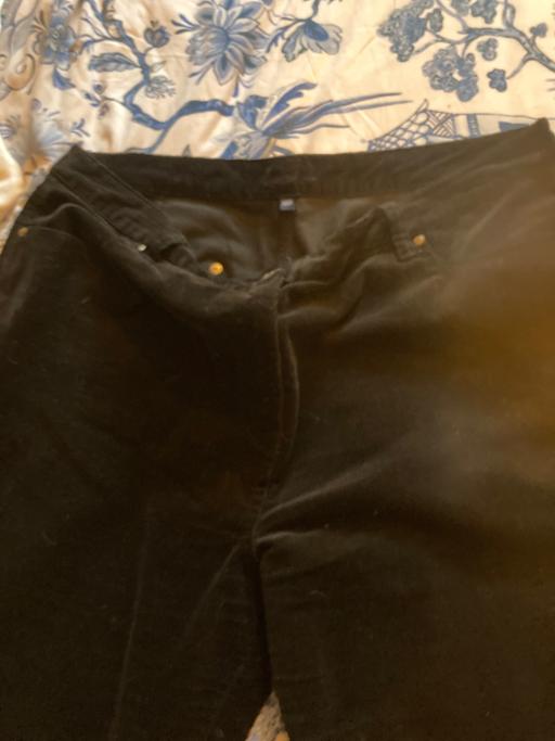 Buy & Sell West Midlands Dudley - Photos for Ladies velvet trousers straight leg