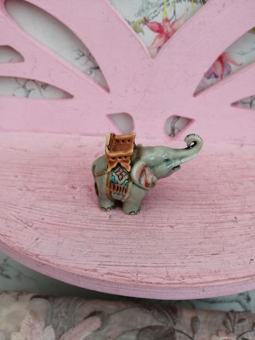 Buy & Sell Derbyshire Derby - Photos for Miniature elephant