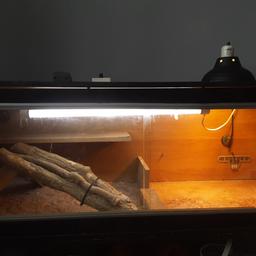 Vivarium ideal for Bearded Dragon. Includes Exo Terra heat lamp and bulb. Dimming thermostat which is perfect to control the temperature and know that if it gets too hot whilst you're out it will instantly dim the bulb. UV bulb which was brought 2 weeks ago . The vivarium itself is in reasonable condition, could do with a paint and tidy up. It all needs tightening up, as the roof is loose where I have moved it around so much. But the lights and accessories are worth over 250.00 on their own. 