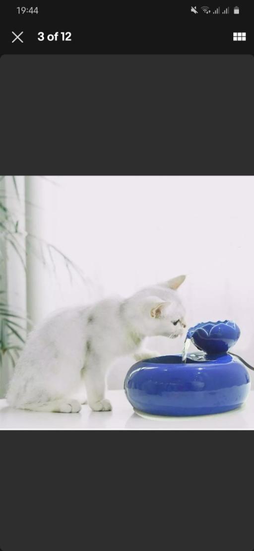 Buy & Sell North London Barnsbury - North London - Photos for 1.6L Blue Lotus Pet Drinking Water Fountain