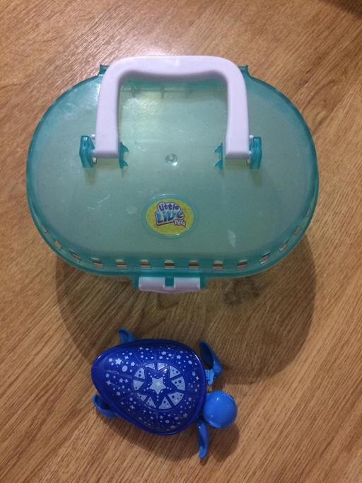 Buy & Sell Bexley Welling - Bexley - Photos for Little Pets Turtle and case