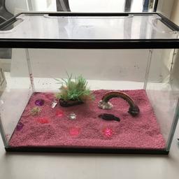 Fish tank for sale 40cm x 26 cm x depth 28cm , pickup or deliver close to B18
