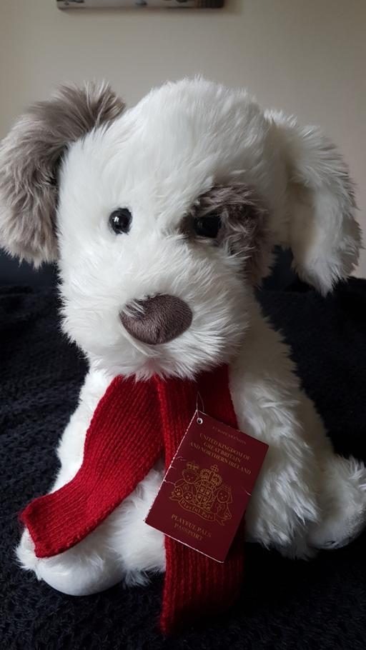 Buy & Sell Kent Maidstone - Photos for Cute Dog Soft Toy.