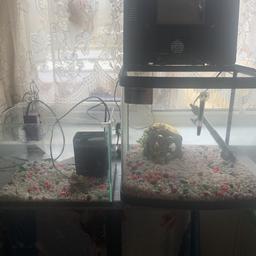 Comes with all gravel 
Ornaments 
2 Filters
Heater 
Thermometer 
20 for both no offers