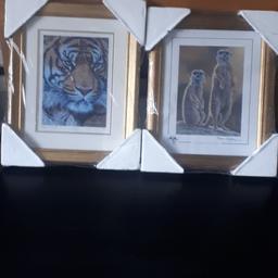 Two numbered limited edition prints by artist Stephen Gayford .These are new still in their packaging. Certificate of authenticity on back of frames. Date of release 2008 . size of frames 17. 5 inches by
14.5 inches. bargain. £10 each or both for £15