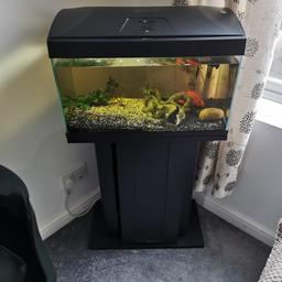 I am selling a 60 liter aquarium with fish