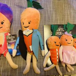 Famous kevin the carrot and family plush toys. All brand new unfortunately kevin lost his tag somewhere😳 last year collection. Any questions please ask. I can sell separately if you only want one. Collection from BS32 or I can post.