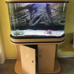 Cleair originally cost £800 from shirley aquatics with buit in filteration system media ect led lights
has just been closed down now ready to pick up and go
beautiful tank shame to let go.. no scratches no marks
collection from Acocks Green