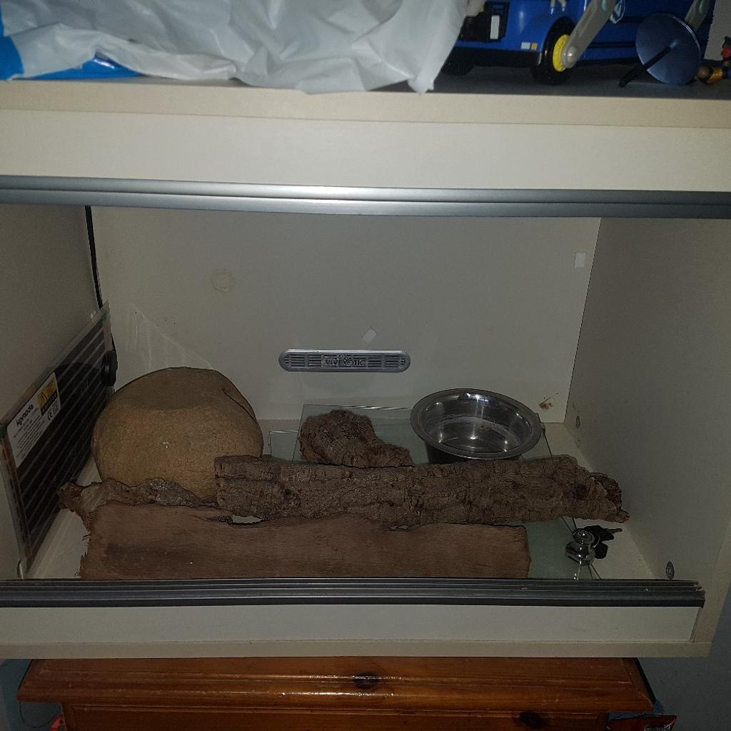 2ft vivarium in WV10 Wolverhampton für 25,00 £ zum Verkauf Shpock DE