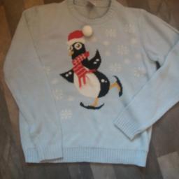 FROM A SMOKE FREE HOME
LILY & DAN XMAS JUMPER AGE 11/12 VGC
£3
B38 KINGS NORTON
NO offers