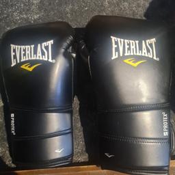 everlast boxing gloves in mint condition, used 2-3 times