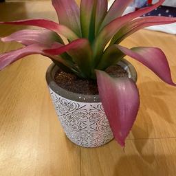Pink and green artificial plant. 
Perfect for inside or outside decor 
Can’t remember how much I got this for so only selling for £5