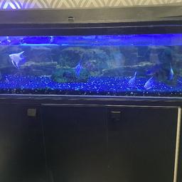 ive used this fish tank for tropical fish it will come with light and stand
lighting ballast and starter recently changed
filter and heater can be sold separately
reason for selling ive upgraded to a bigger tank
fish are not included
collection from 5/1/21