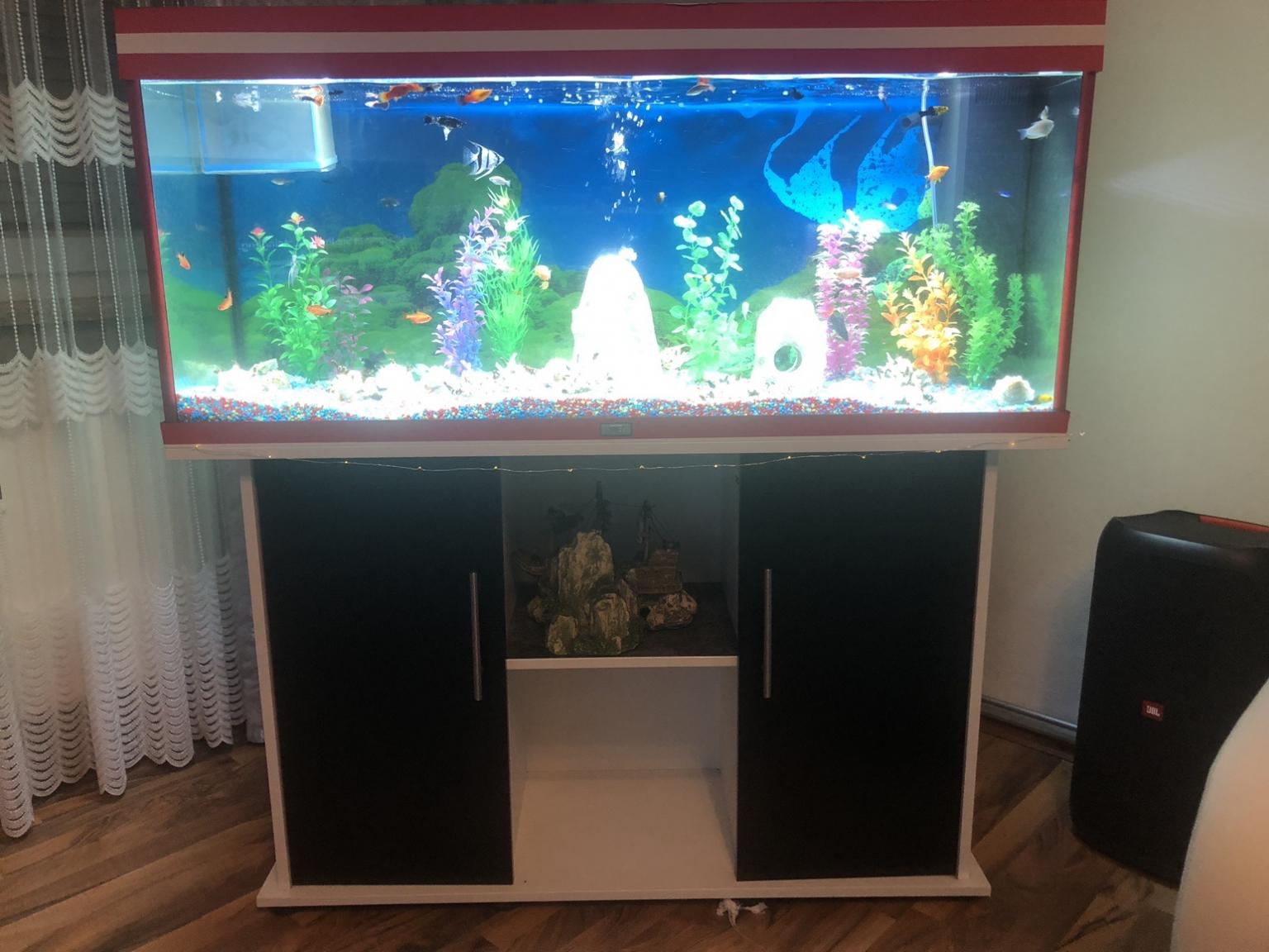 Aquarium 240 Liter komplett +apvarium 120 Lit in 9601 Arnoldstein for € ...
