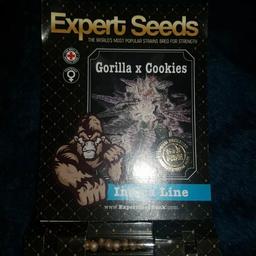Hydroponic seeds 

Gorrilla x cookies 

Pack of 8 Fem seeds