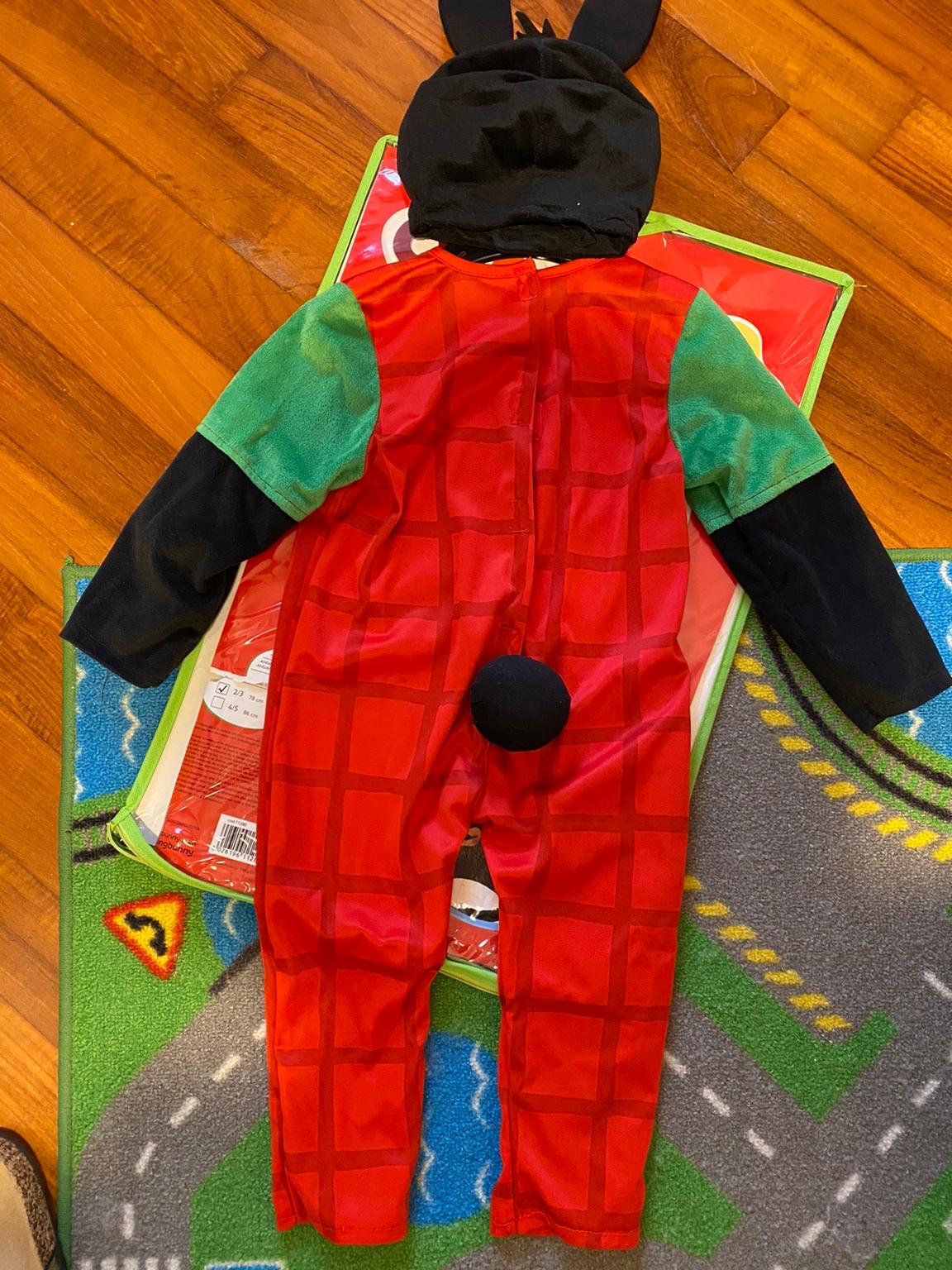 vestito carnevale Bing originale 3/4 anni in Casapesenna for €15.00 for  sale