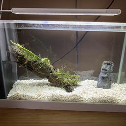 Aquarium Fish Tank includes Wood, rock with Filter And LED Light