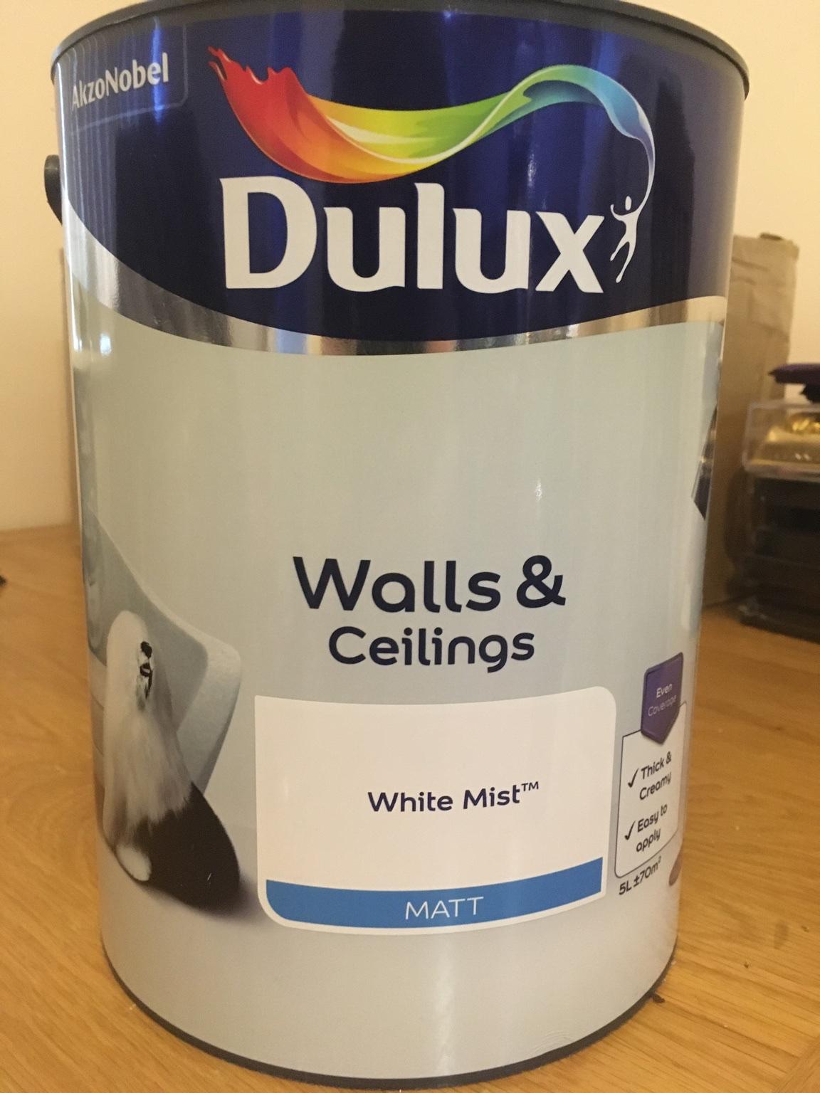 5L Dulux Walls&Ceilings white mist matt paint in DY2 Dudley für £ 18,00