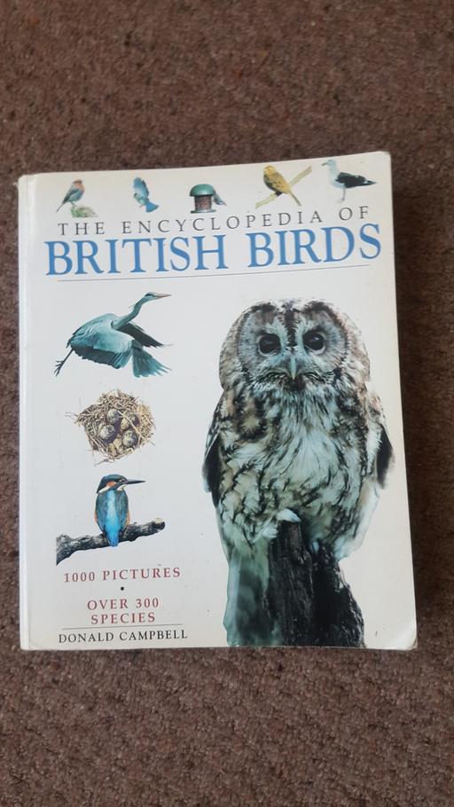 Buy & Sell Lancashire Blackpool - Photos for Bird Encyclopedia