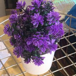 Pretty artificial purple flower plant
I have 2 purple. 1 pink. 1 yellow.
Will. Last for ever. No watering etc
They are 3 pounds each pot. Just choose the colour you require
