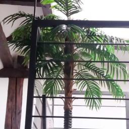 Palme Kunstpflanze 150 cm
Preis VB
Aus Wohnungsauflösung – schauen Sie sich auch noch meine anderen Möbel an, die ich anbiete
Privatverkauf - Keine Garantie, keine Rücknahme, kein Umtausch