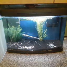 2 foot fishtank with heater filter and fully working built in light