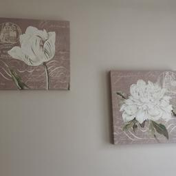 Canvas flower prints good condition 30cms by 30cms collection only with social distancing PayPal excepted £5 for both 